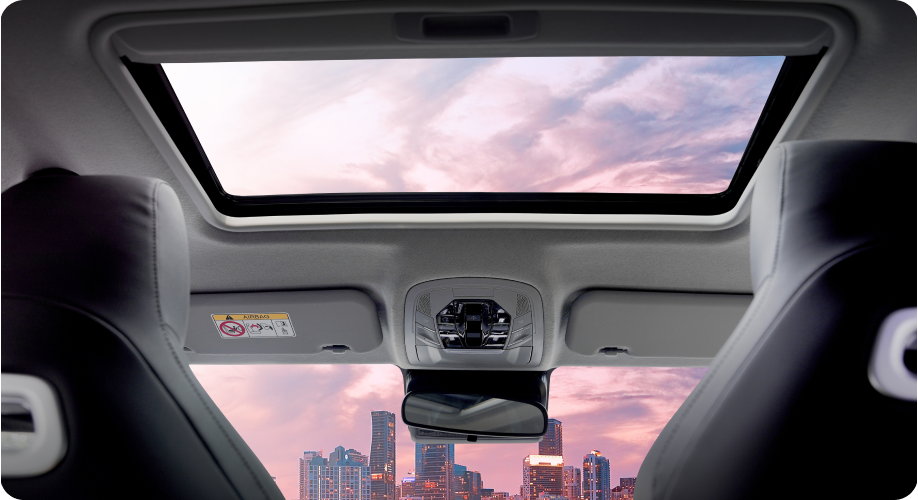 electric-sunroof (1)